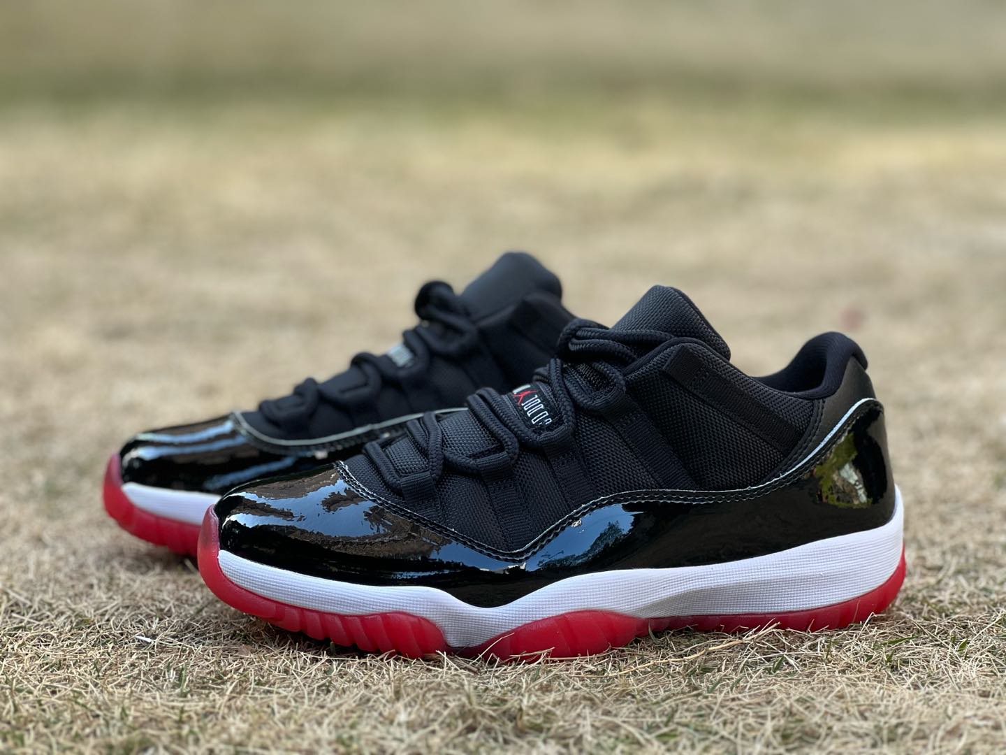 Air Jordan 11 Low brend