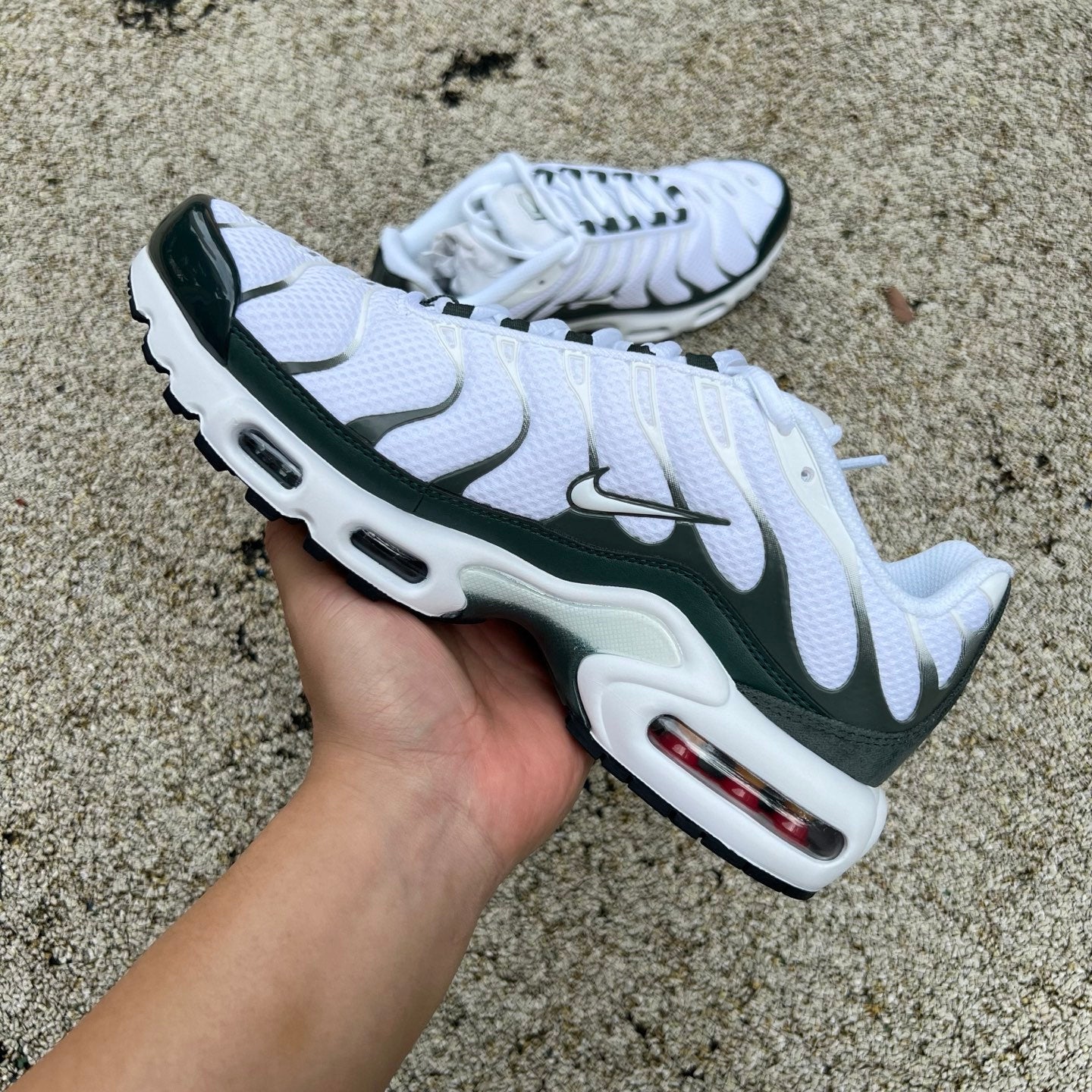 Nike Air Max Plus PMR