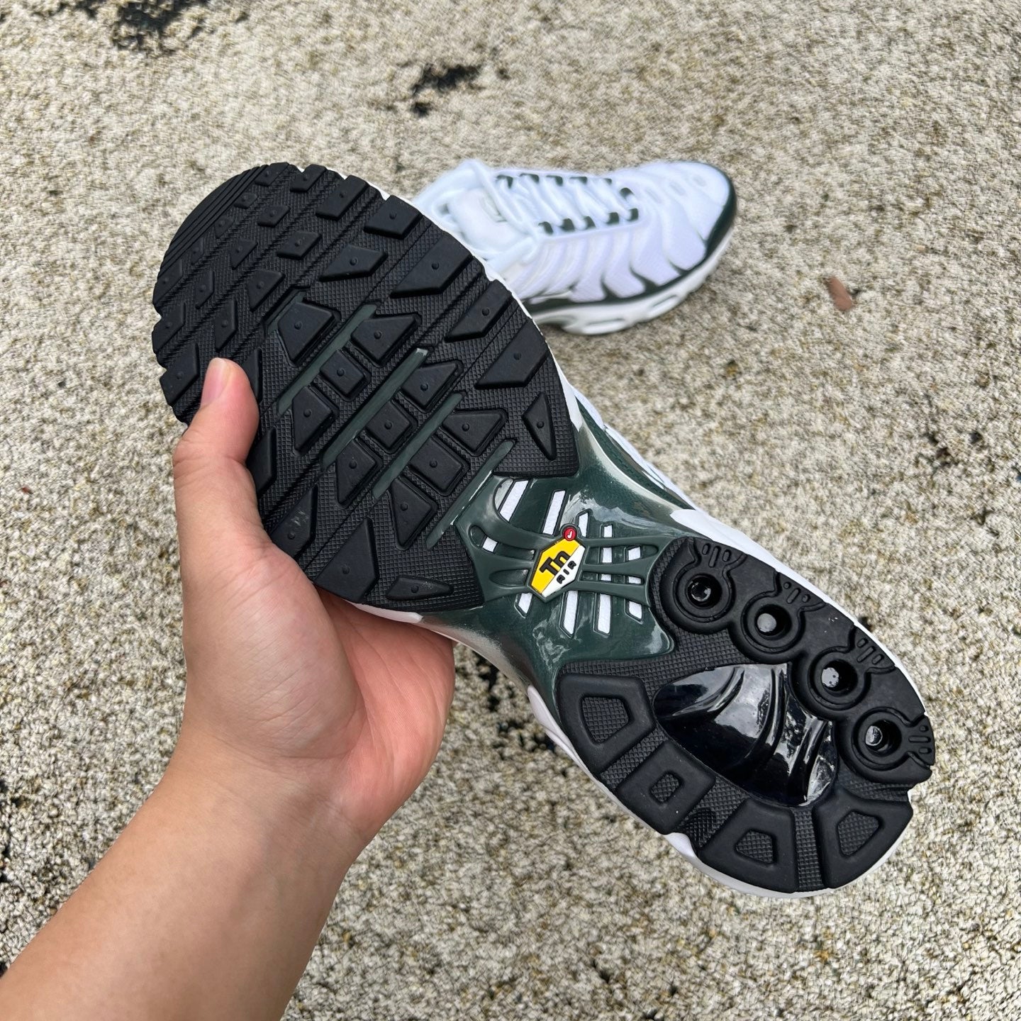 Nike Air Max Plus PMR