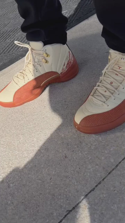 Air Jordan 12 SB Retro