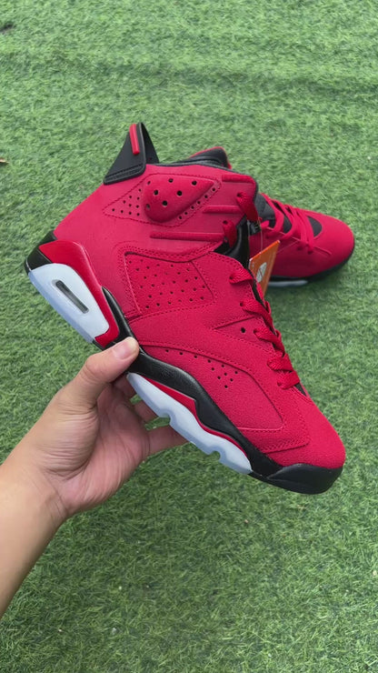 Air Jordan 6 Red Bull