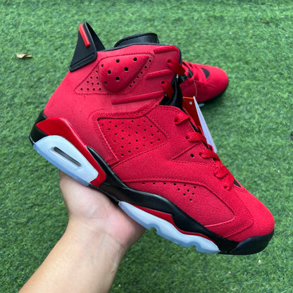 Air Jordan 6 Red Bull