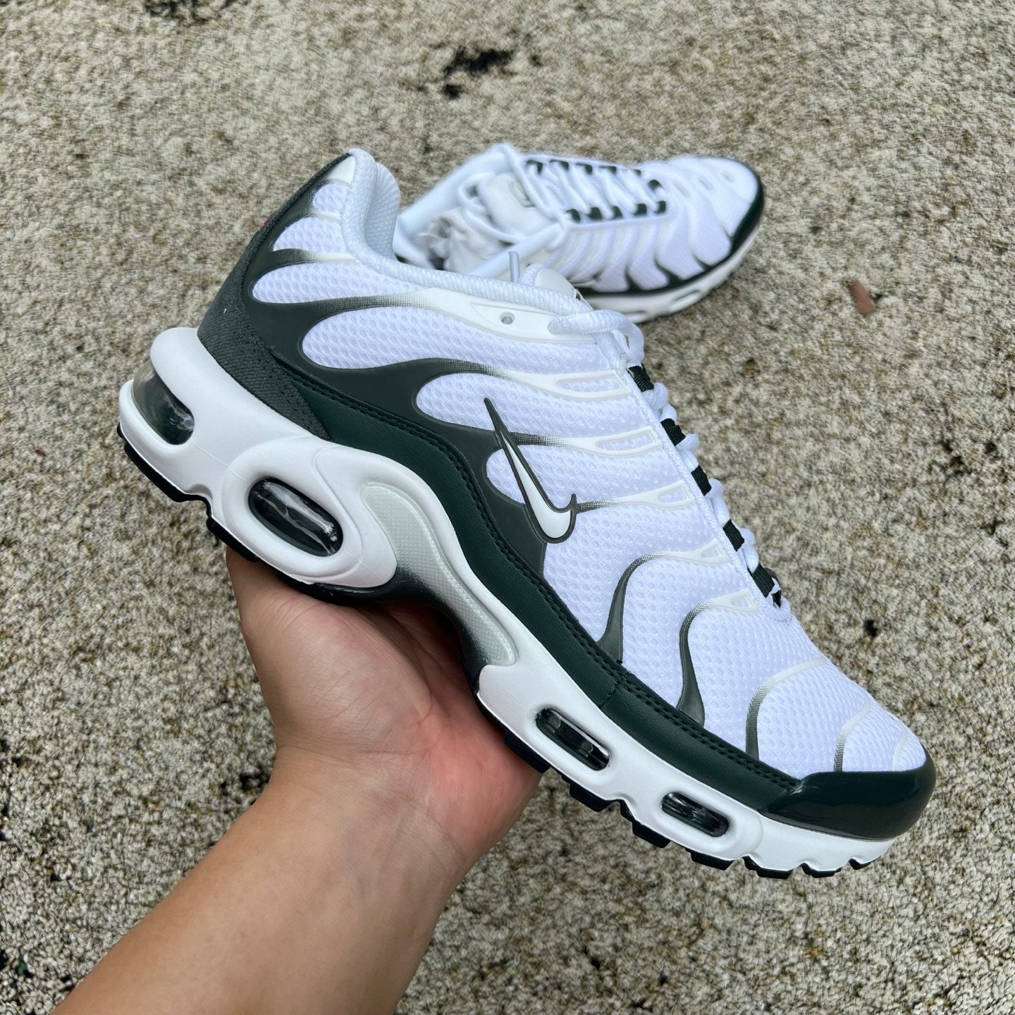 Nike Air Max Plus PMR