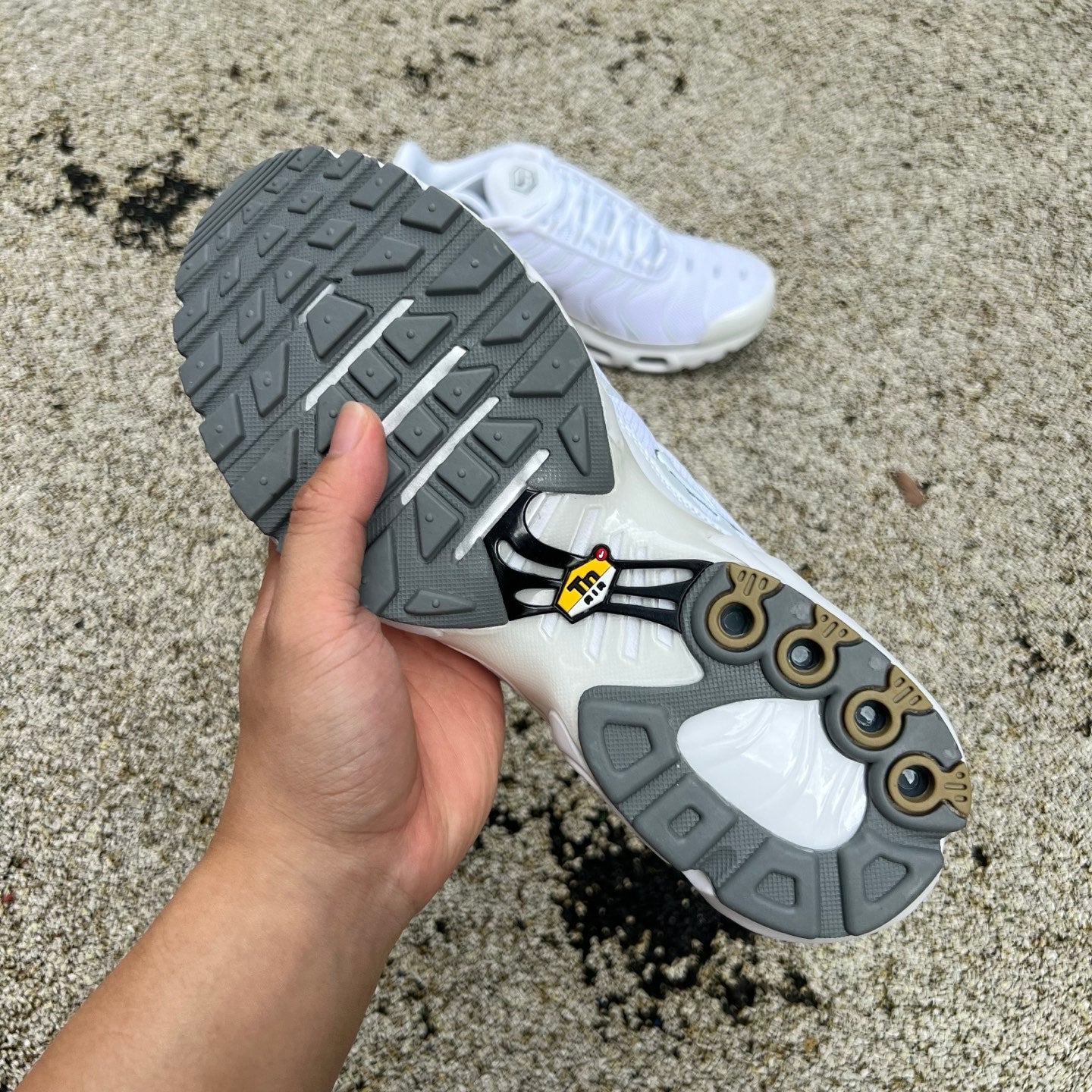 Nike Air Max Plus white