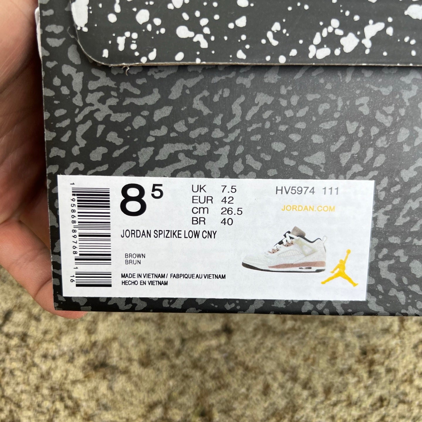 Jordan Spikee Lee